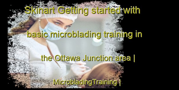 Skinart Getting started with basic microblading training in the Ottawa Junction area | MicrobladingTraining | MicrobladingClasses | SkinartTraining-United States
